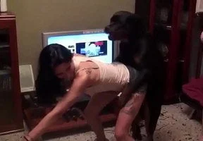 Un perro, una perra y yo gozando como loca - TopRelatos